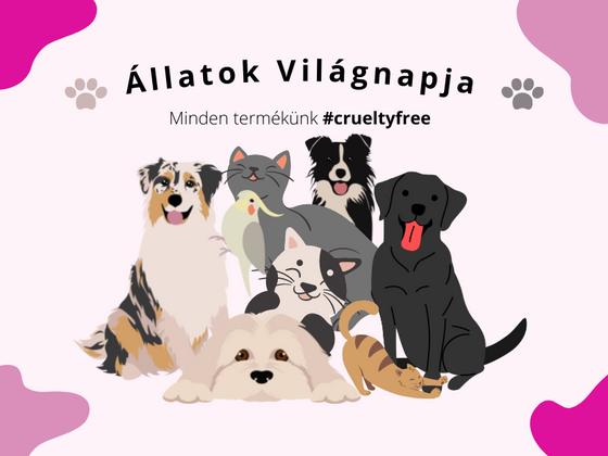 Állatok Világnapja